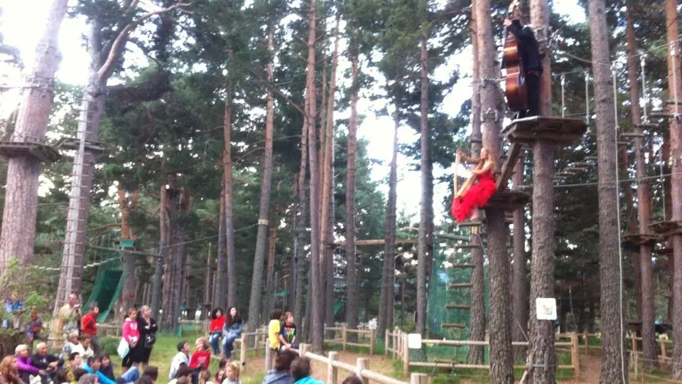 998069_588540054531872_2092499916_n