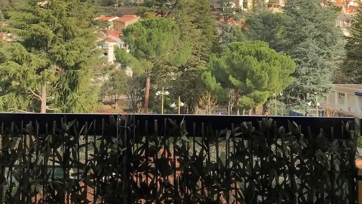 Vue depuis l'appartement