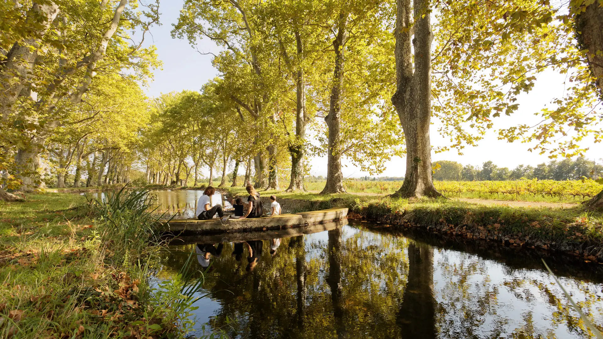 chateau nadal hainaut - le soler