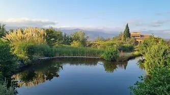 L'étang et le gîte