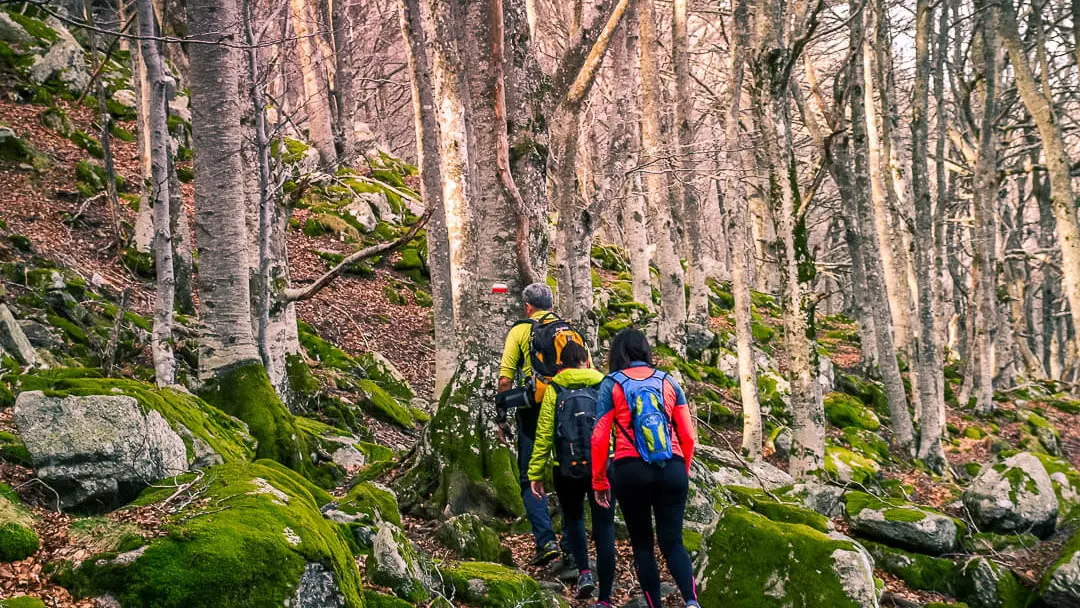 Montalba Roc de France