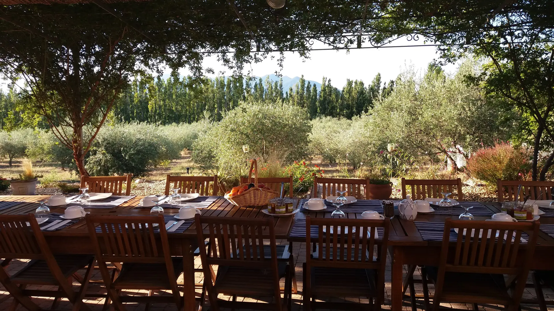 Aspres Trouillas Mas Sabarates