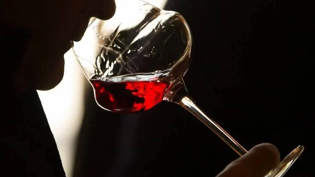 Féfé votre Caviste Conseil