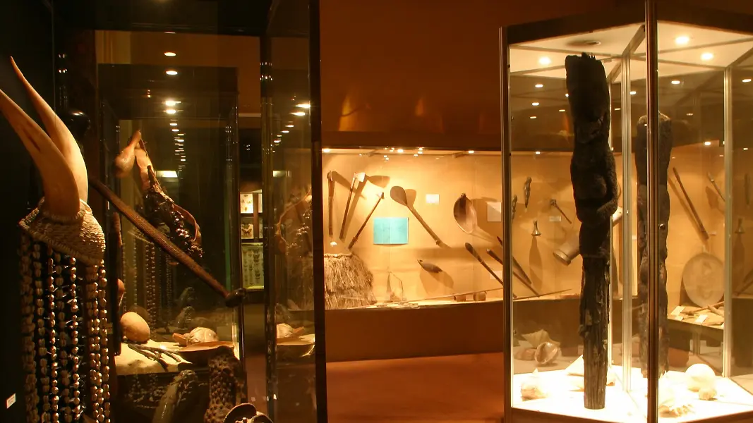 Muséum d'histoire naturelle