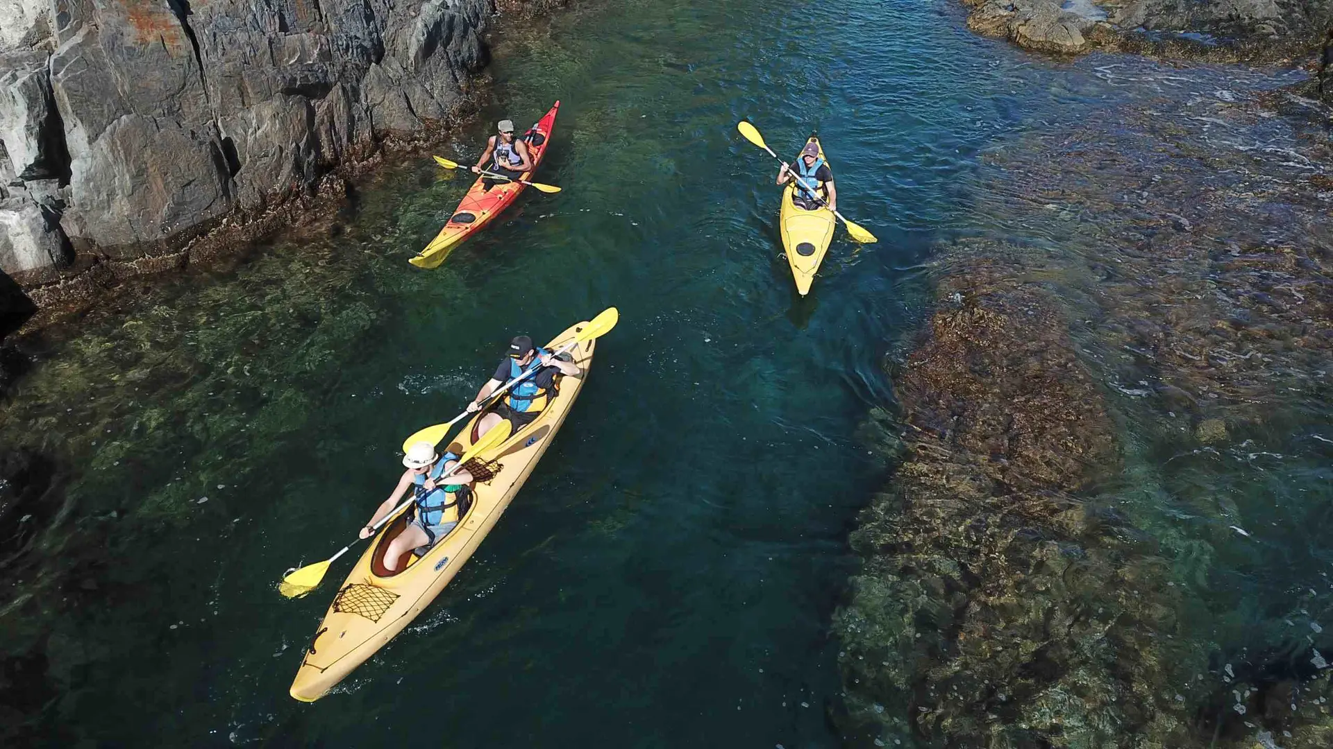 Watersport-collioure