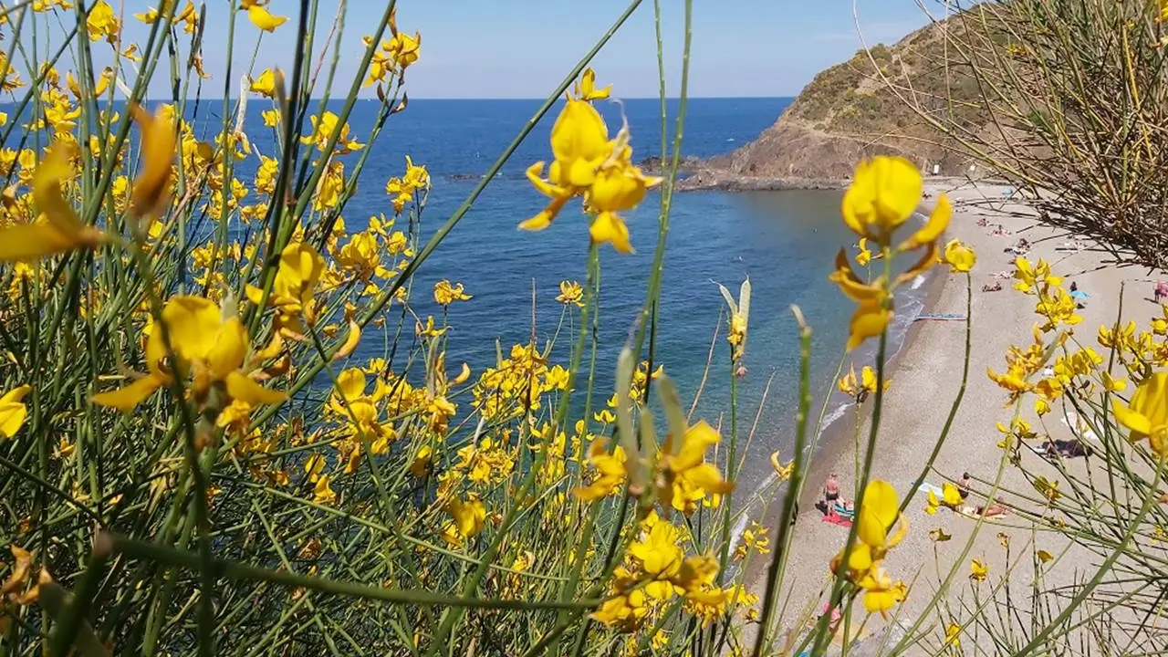 10-meubles-locations-axter-vue-plage