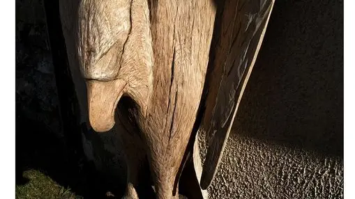 100773169_3091921437497866_6007738182777438208_o