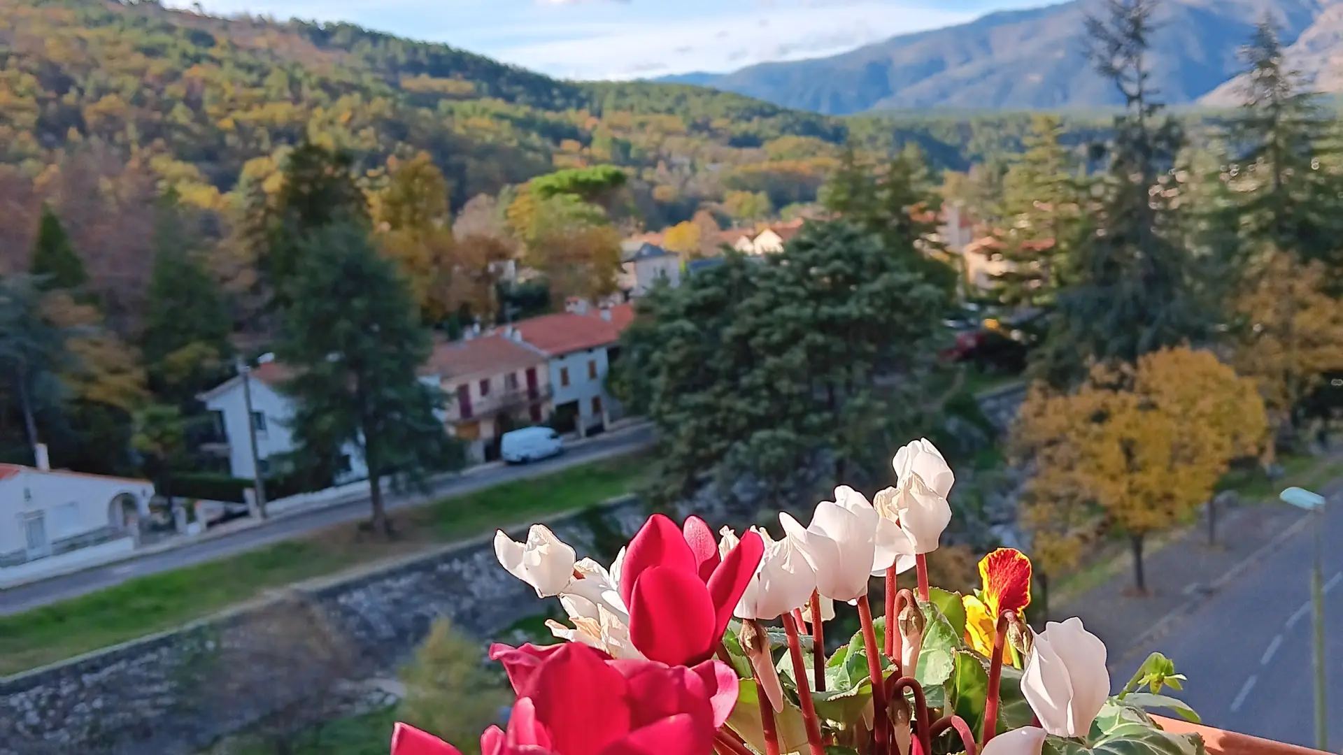 Vue depuis la loggia