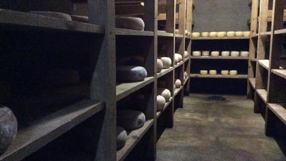 10150747_653907747980126_2088463441_n