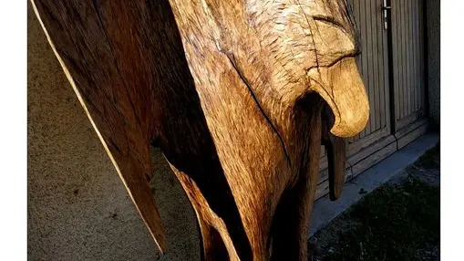 101262184_3095585837131426_4604593111866277888_o