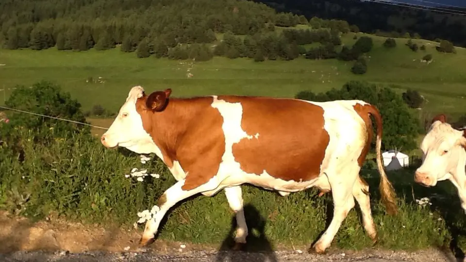 10570354_439574192851820_3003857709423162550_n