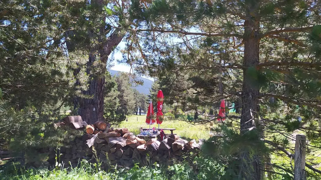 107492524_3286879578031226_1836444198533714535_o