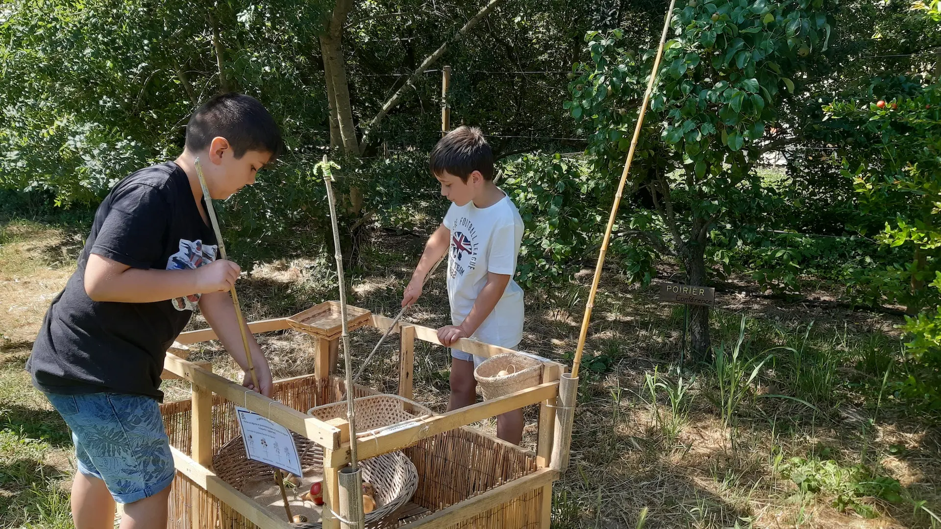 10Pêche légumes, Ferme musicale 66690