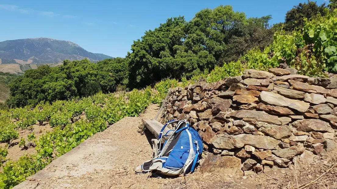 11-prestataires-activites-vinohrando-vue-4