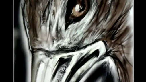 117981613_3323376844352323_853426349101054180_o