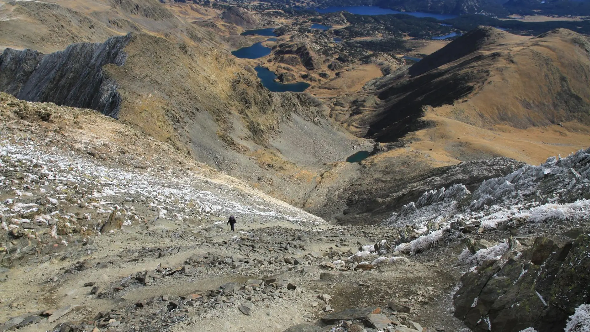 11864932_885650954862691_6209456530003096011_o