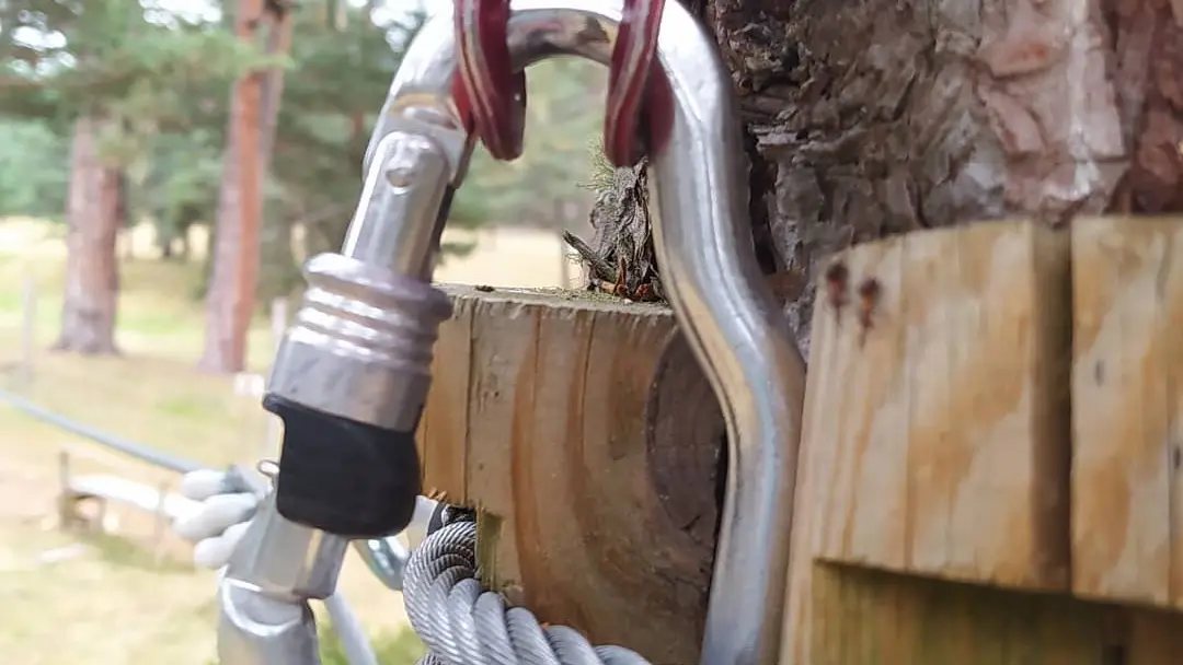 120956716_3566566786729169_7091723384668259891_o