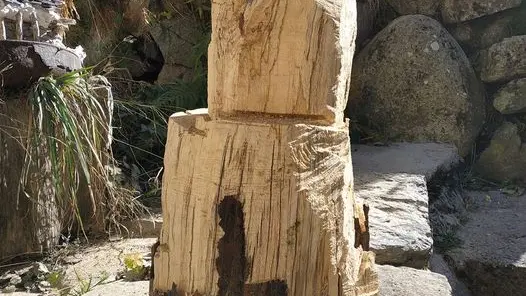 125932512_3599294643427207_8347519493100033747_o