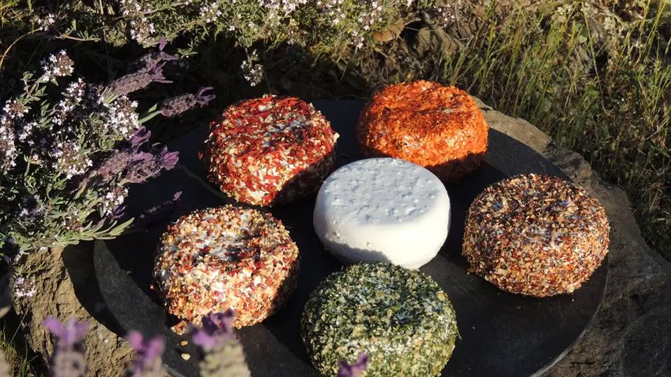 Différents crottins de chèvre