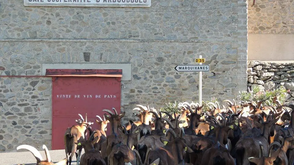 Balade à Marquixanes