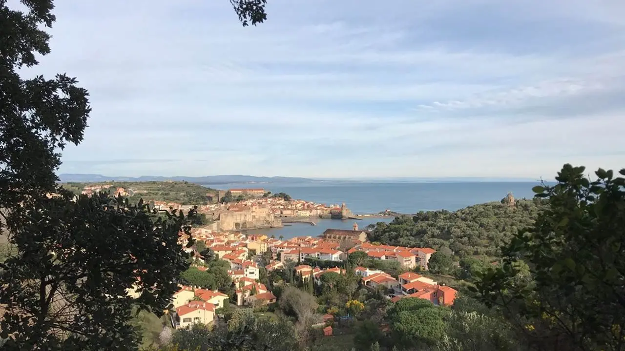 17-prestataires-activites-vue-collioure-5