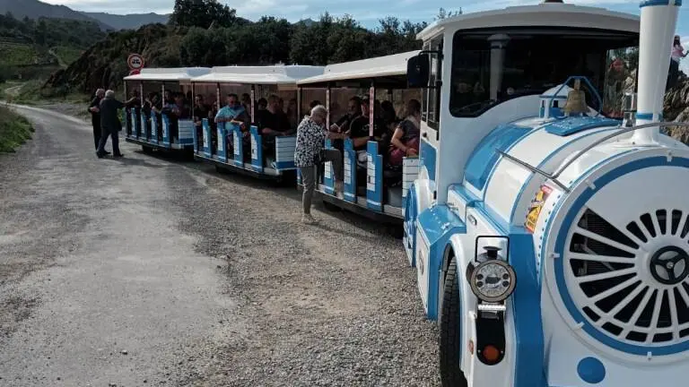 petit-train-collioure
