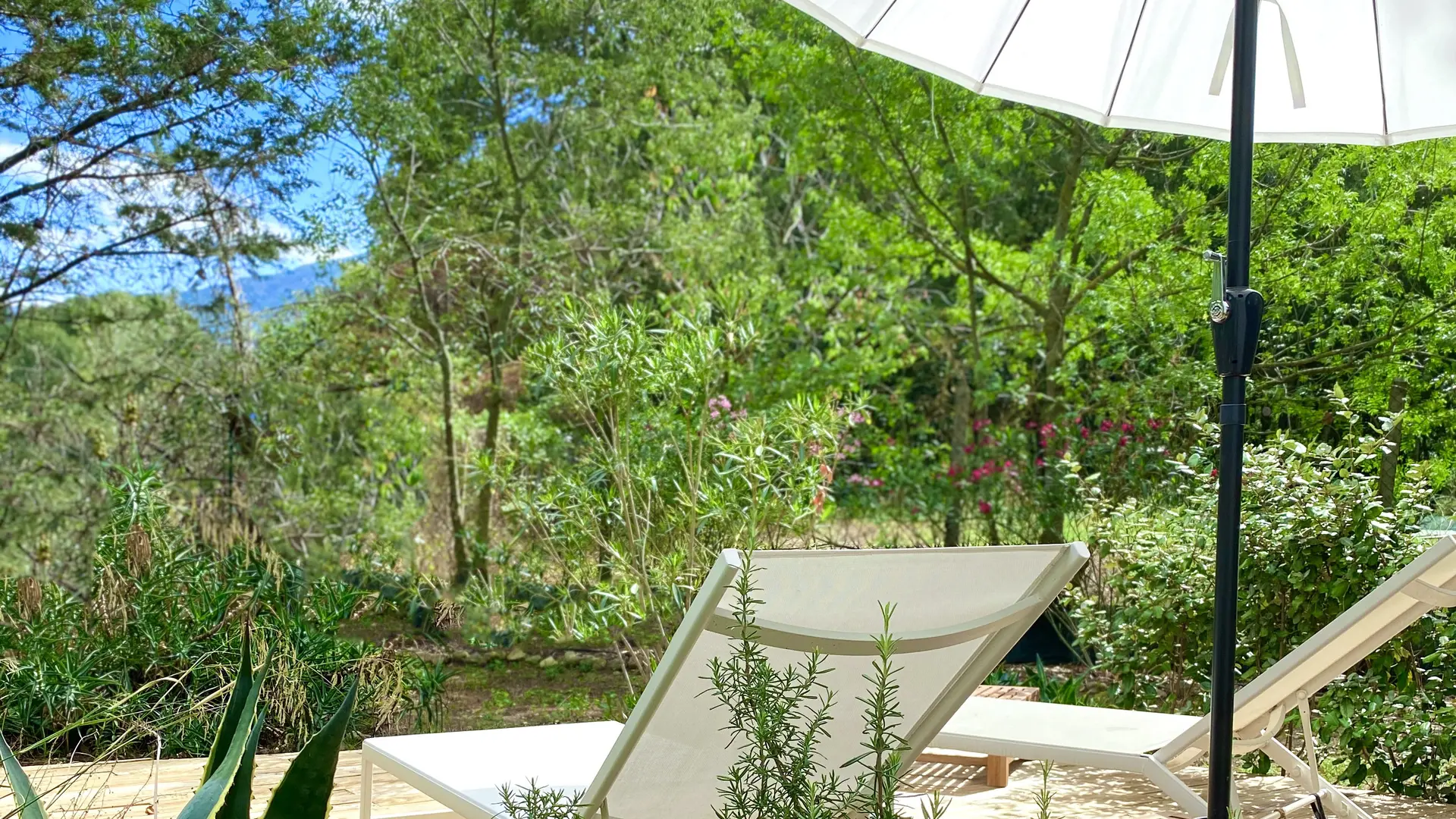 Le Chat Vert - appartements Adults Only****