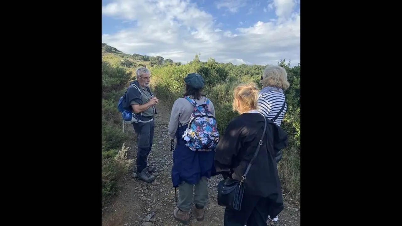 2-prestataires-activites-colliourevinohrando2