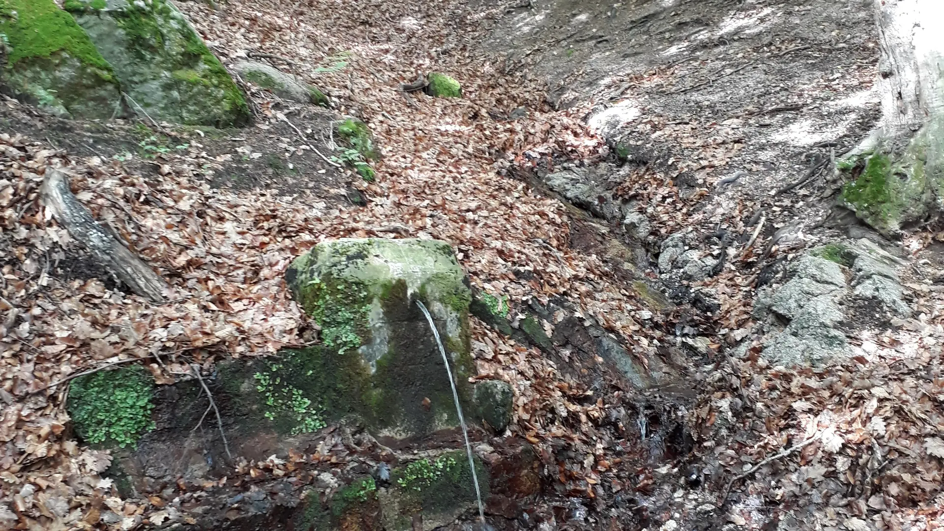 Saint-Laurent-de-Cerdans