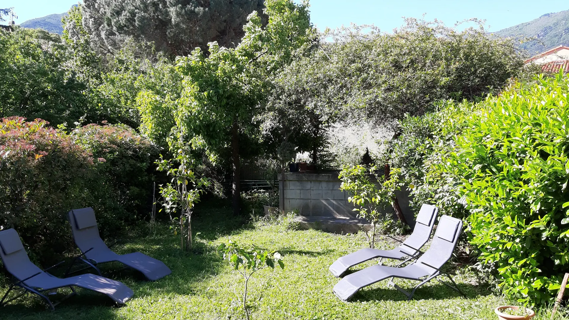 Le jardin et au fond le vieux lavoir