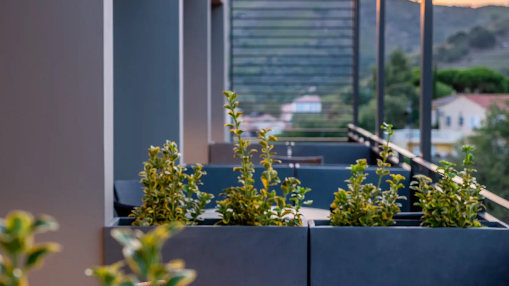 2010-02_27_lesjardinsducedre_bd