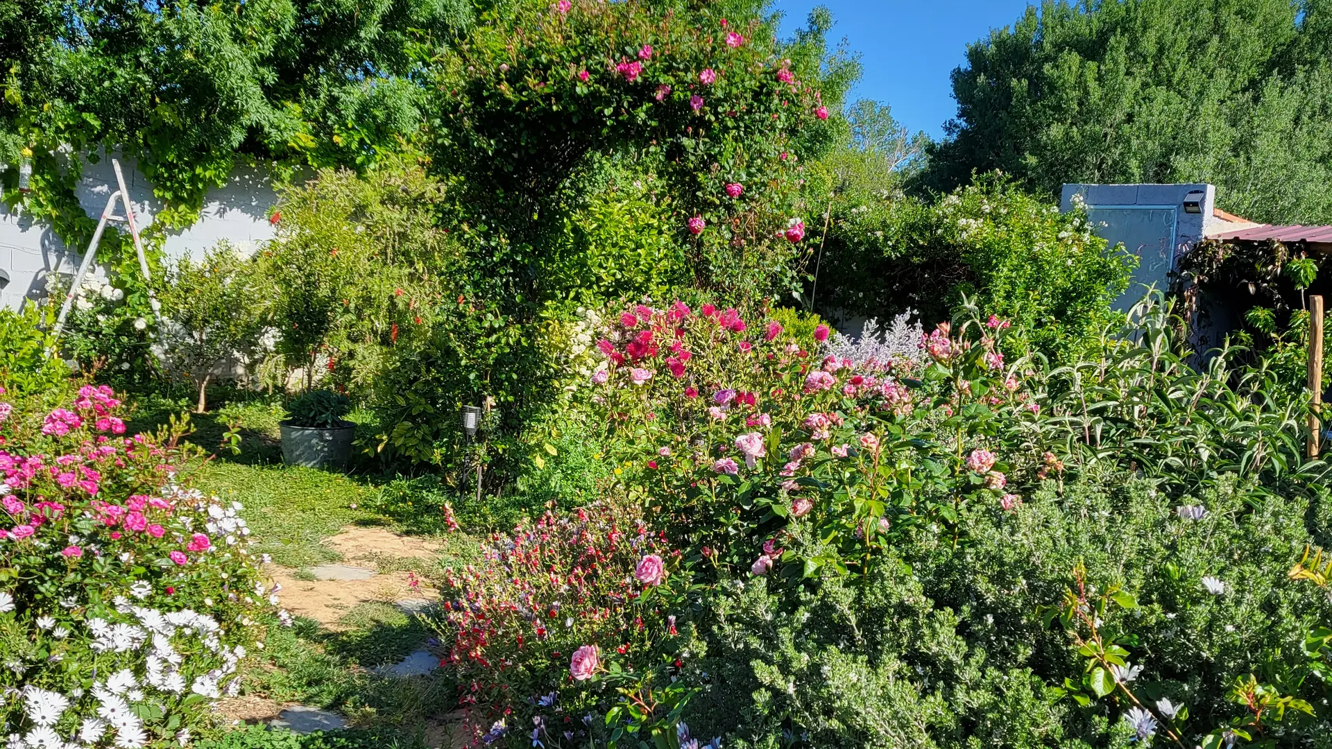 Aspres Thuir La Maison des Roses