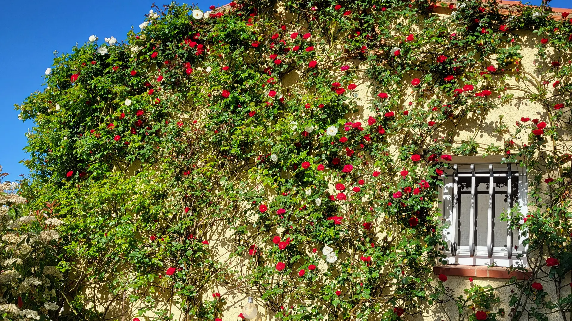 Aspres Thuir La Maison des Roses
