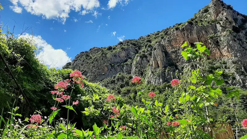 Vue sur les montagnes