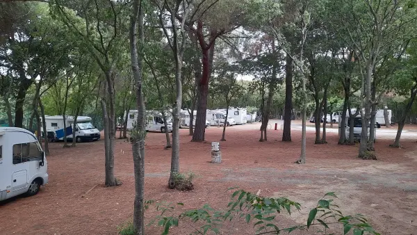 Laroque des Albères