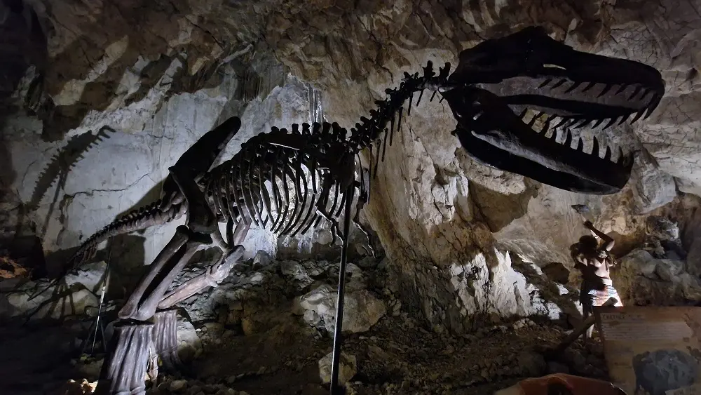 COVA BASTERA - DINOPEDIA EXPERIENCE