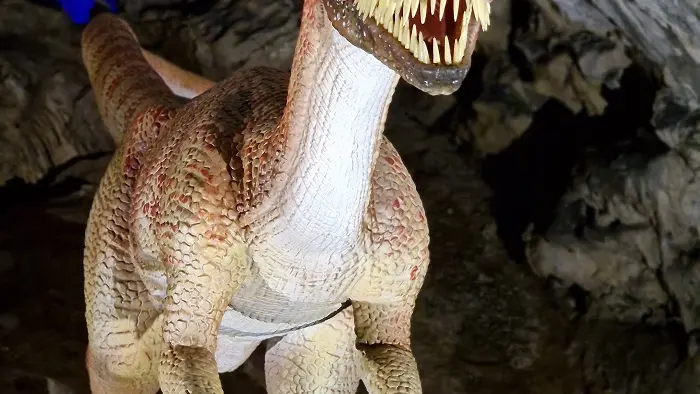 COVA BASTERA - DINOPEDIA EXPERIENCE