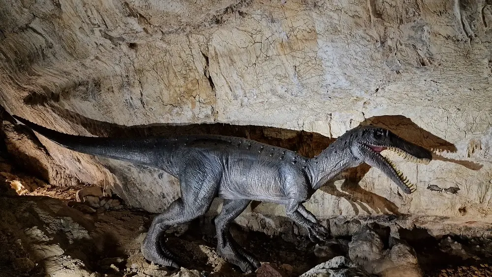 COVA BASTERA - DINOPEDIA EXPERIENCE