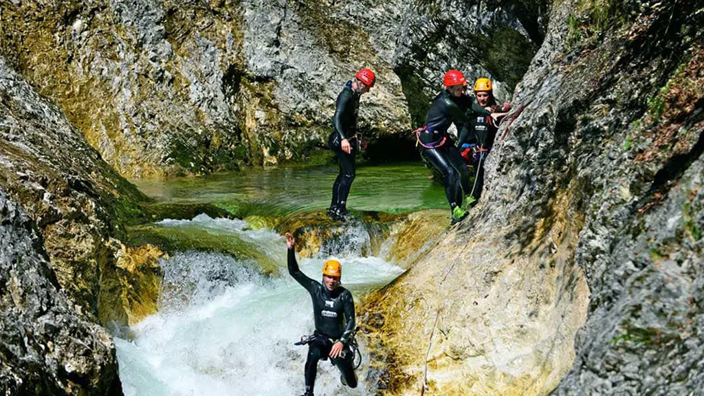 TORREILLES LOI THE SHOP