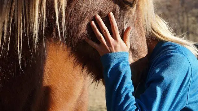 Ferme équestre du Mas Franc