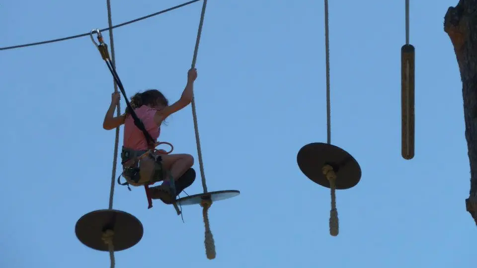 293294_427640167288529_418097813_n