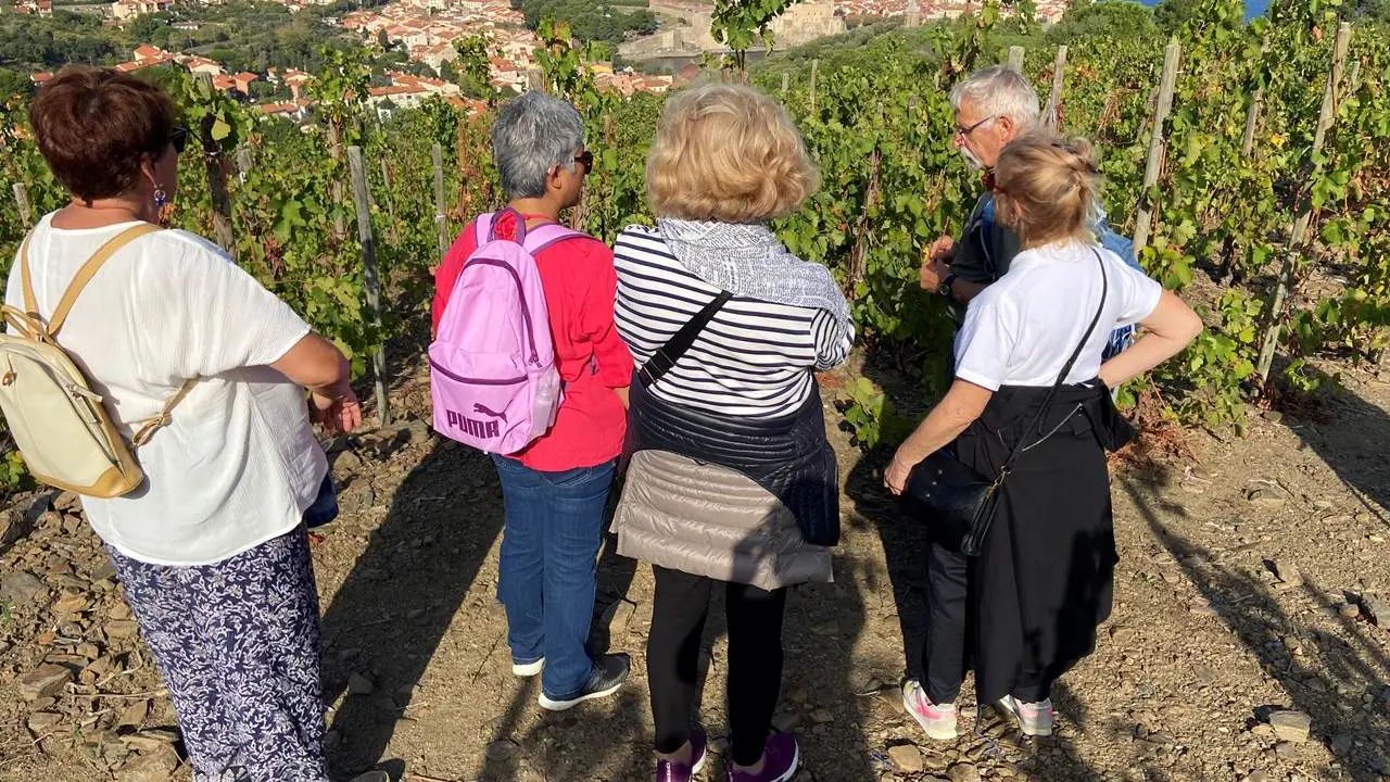 3-prestataires-activites-vinohrando3