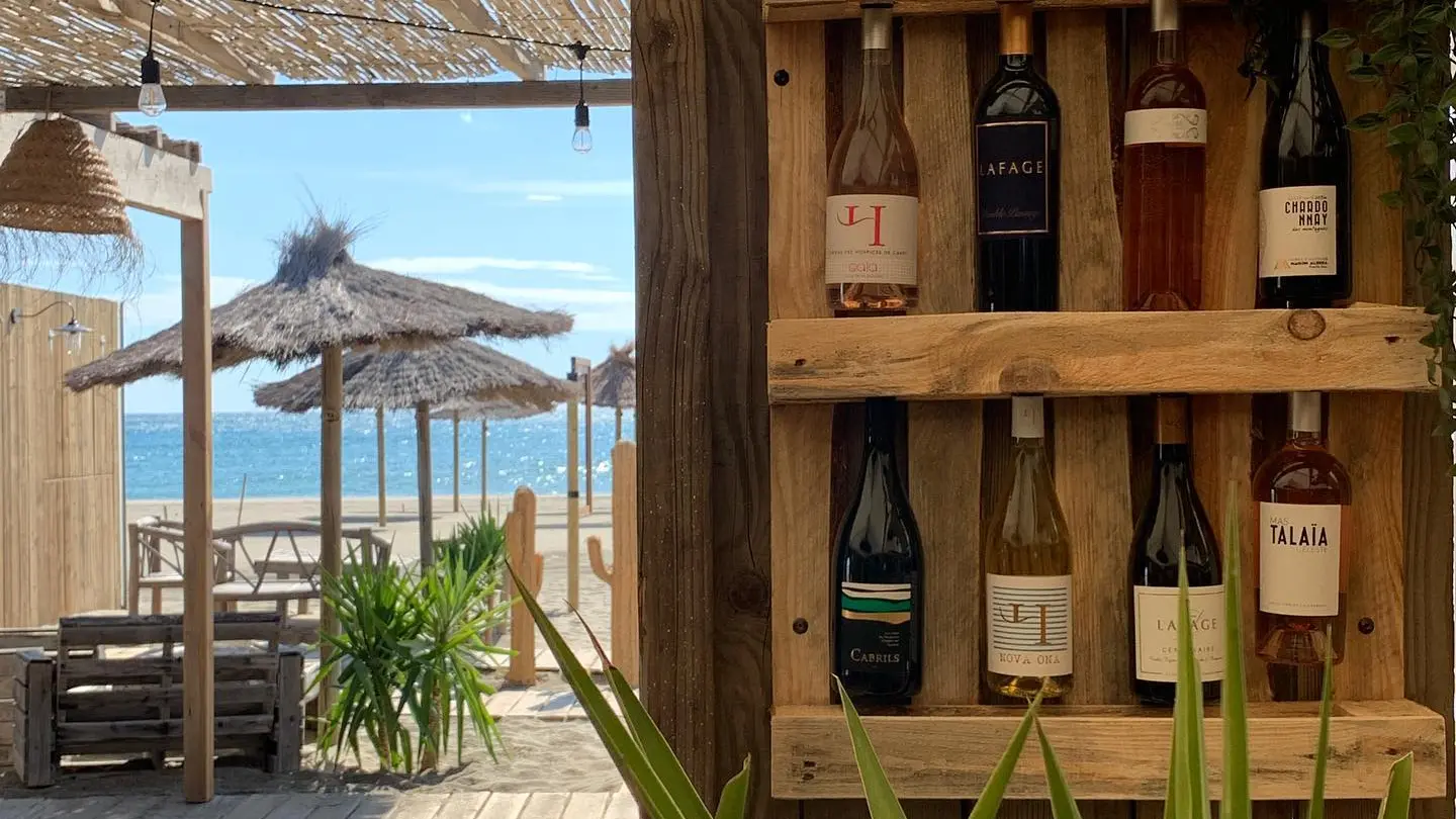 347103241-6439821706073655-7651484276463227363-n