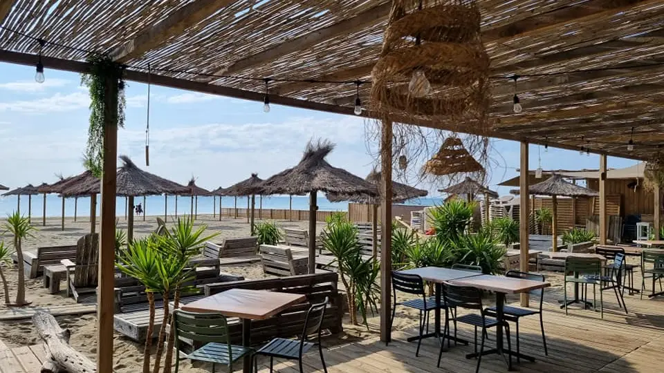 347228193-1609233546239687-8358448140813805109-n