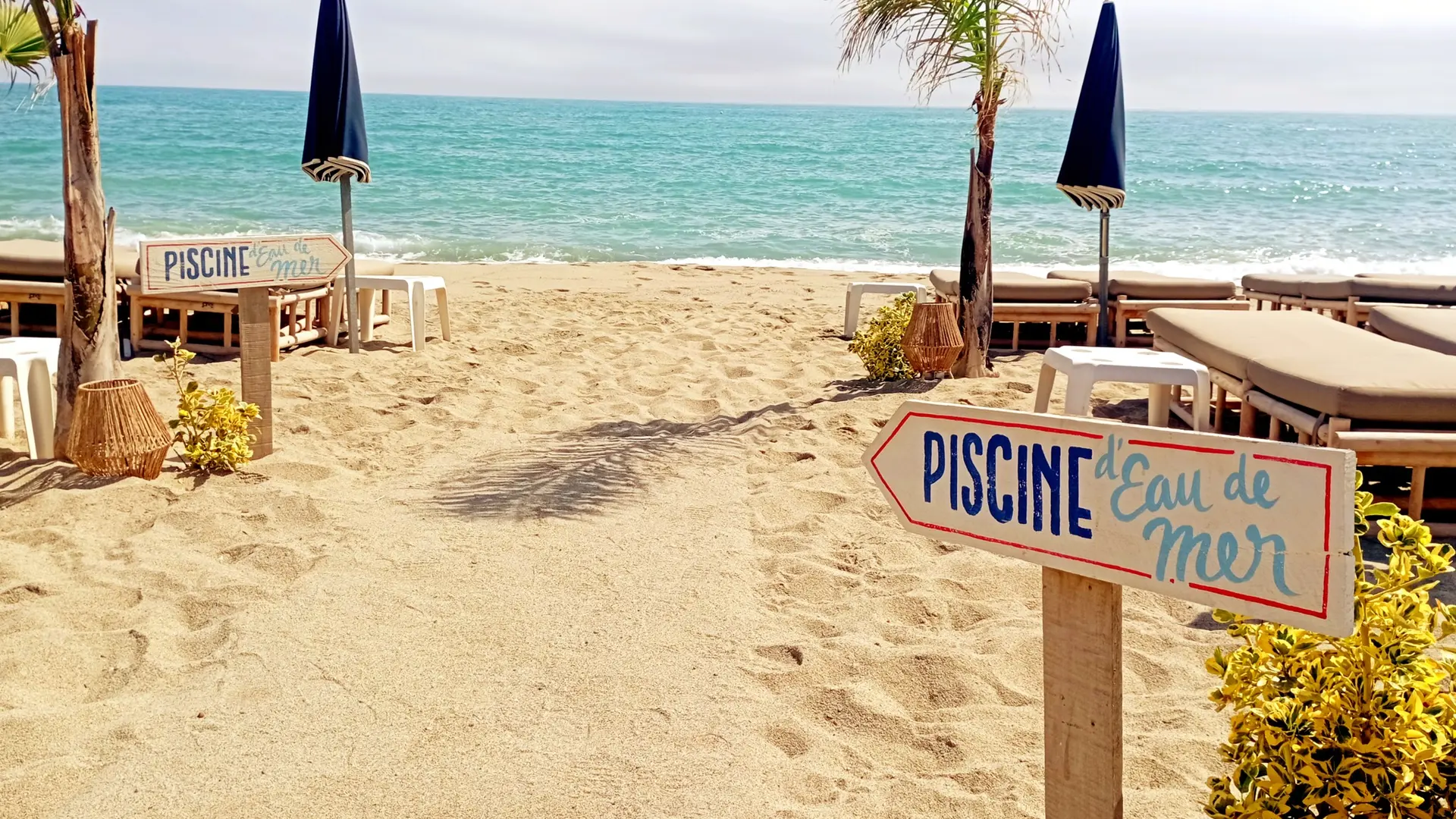 TORREILLES PAILLOTE CASA PARDAL