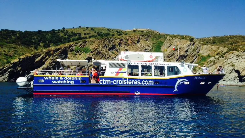 36750179_2003578786339946_8160620686272888832_n