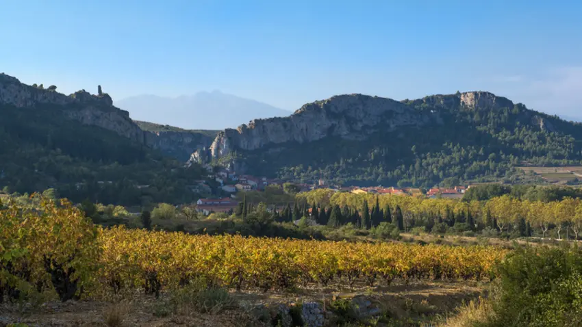 tautavel_vignes_1_octobre_2013