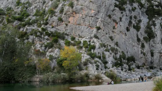 tautavel_paysage_rivinre_20