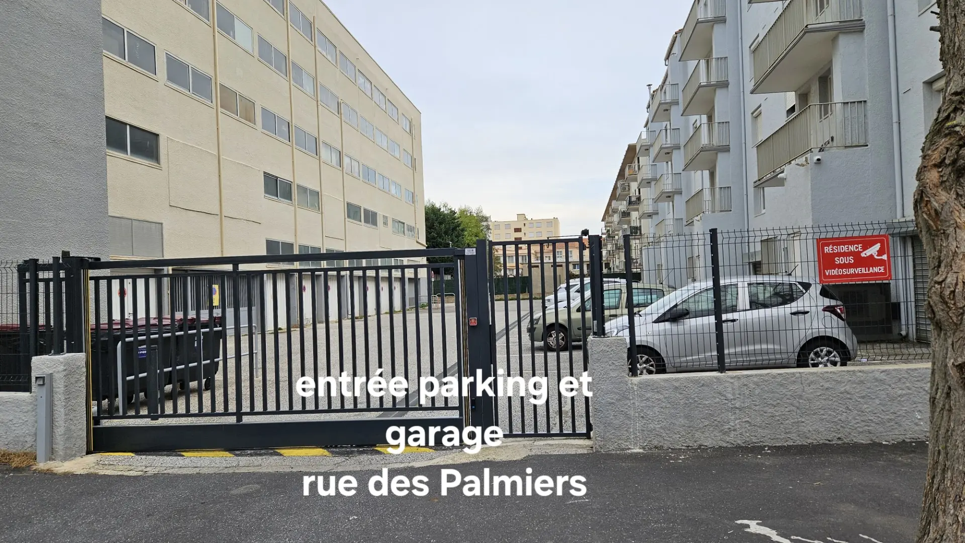 thumbnail_20231228_152117