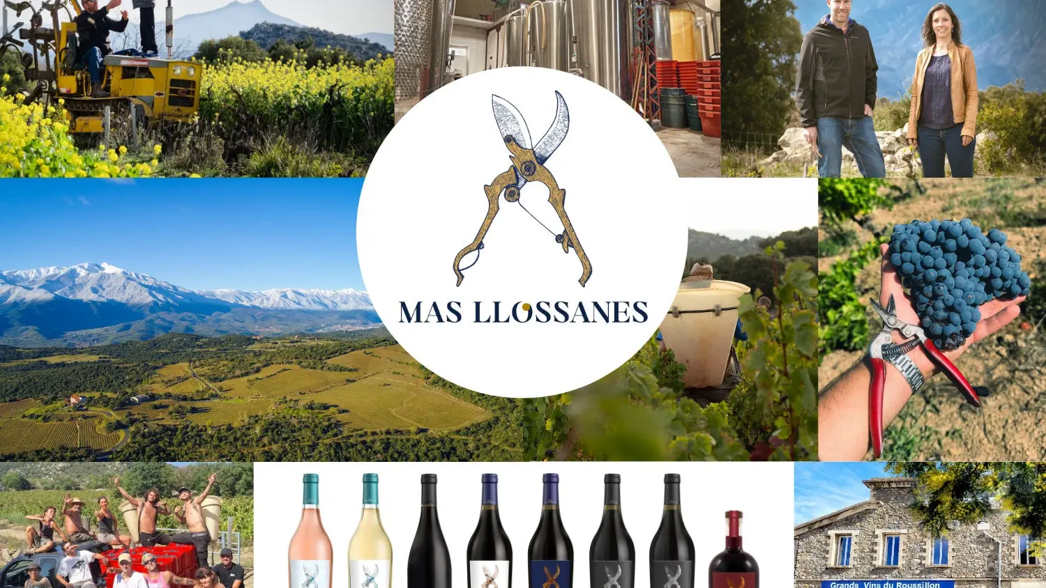 thumbnail_collage photo llossanes 2025